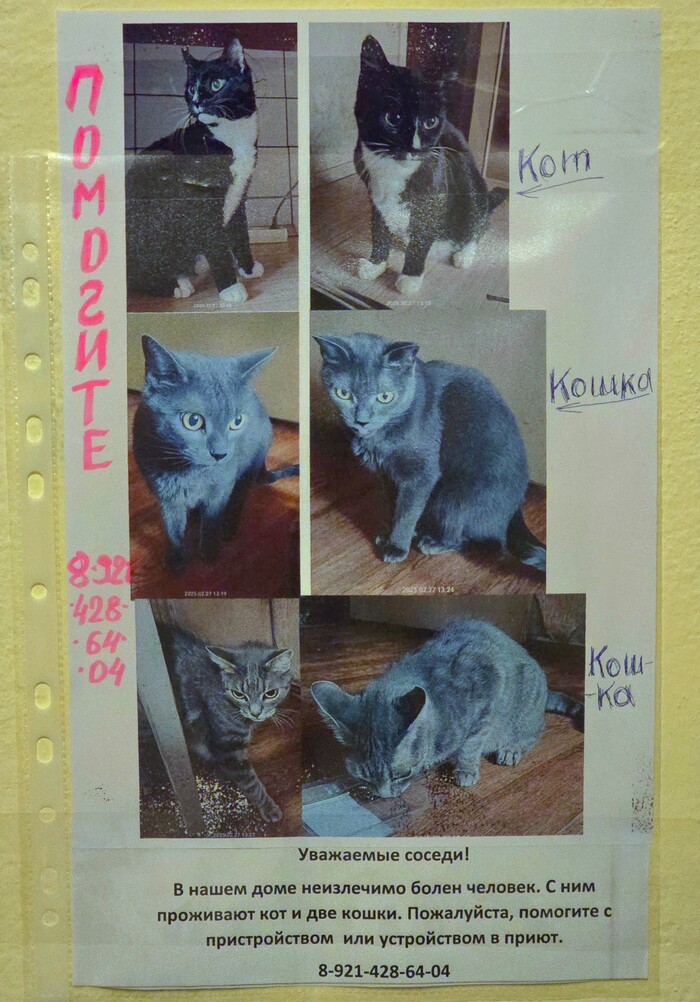     , , ,  ,   ,  ,  , -