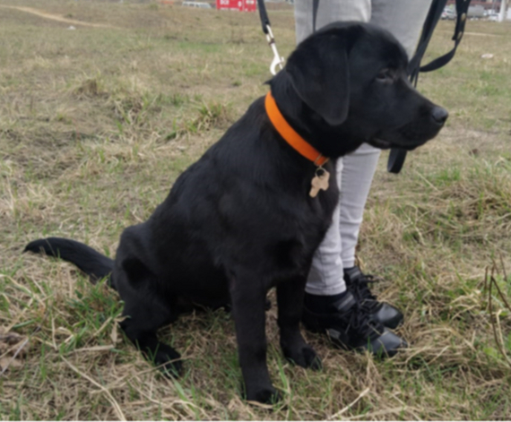 ���� � ������