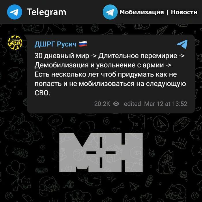 Открытое обращение к Путину В.В., Зеленскому В.А., Трампу Дональду от пользователя Пикабу GreyGoose