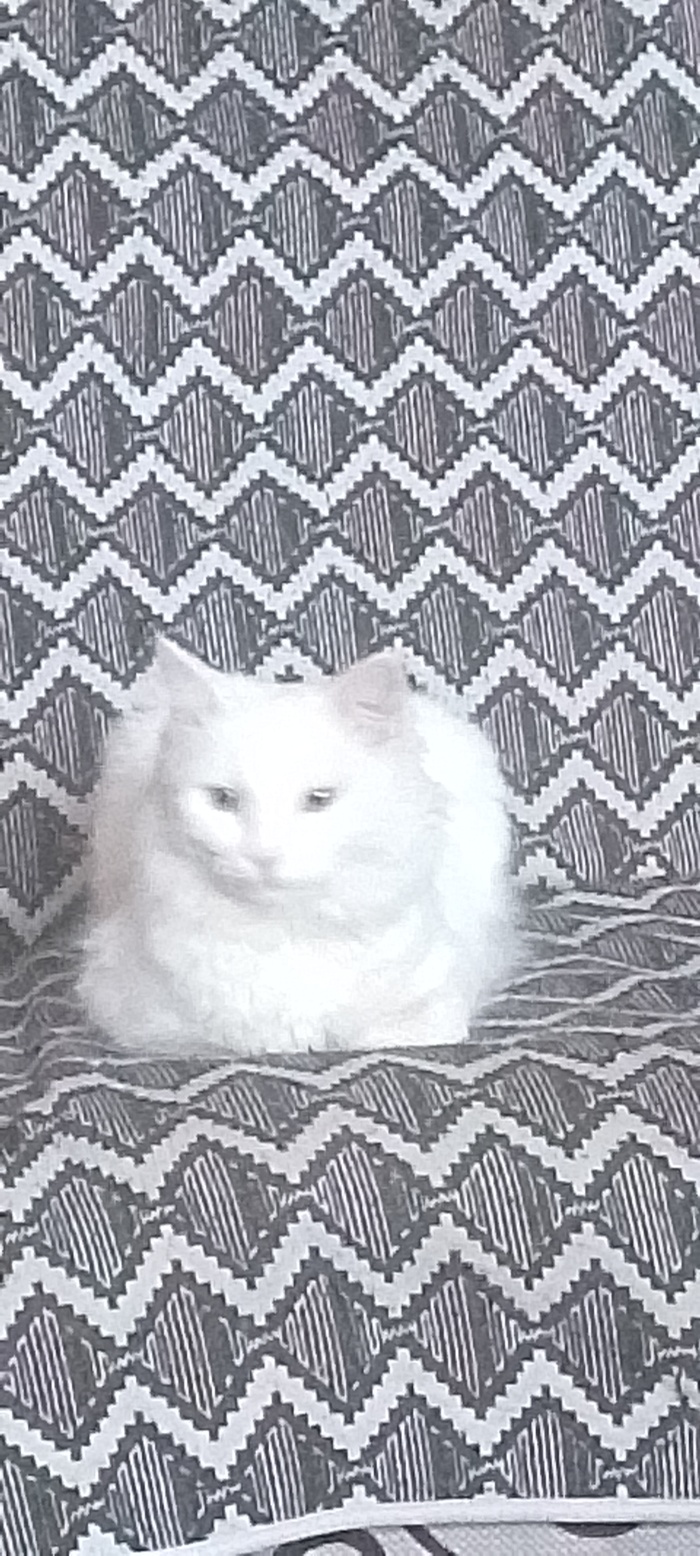  ,  , 