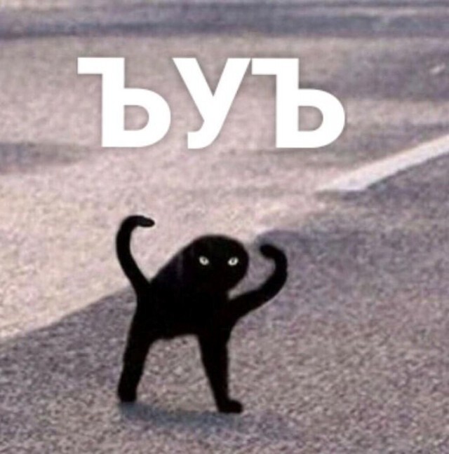    Pikabu,     , , , , 