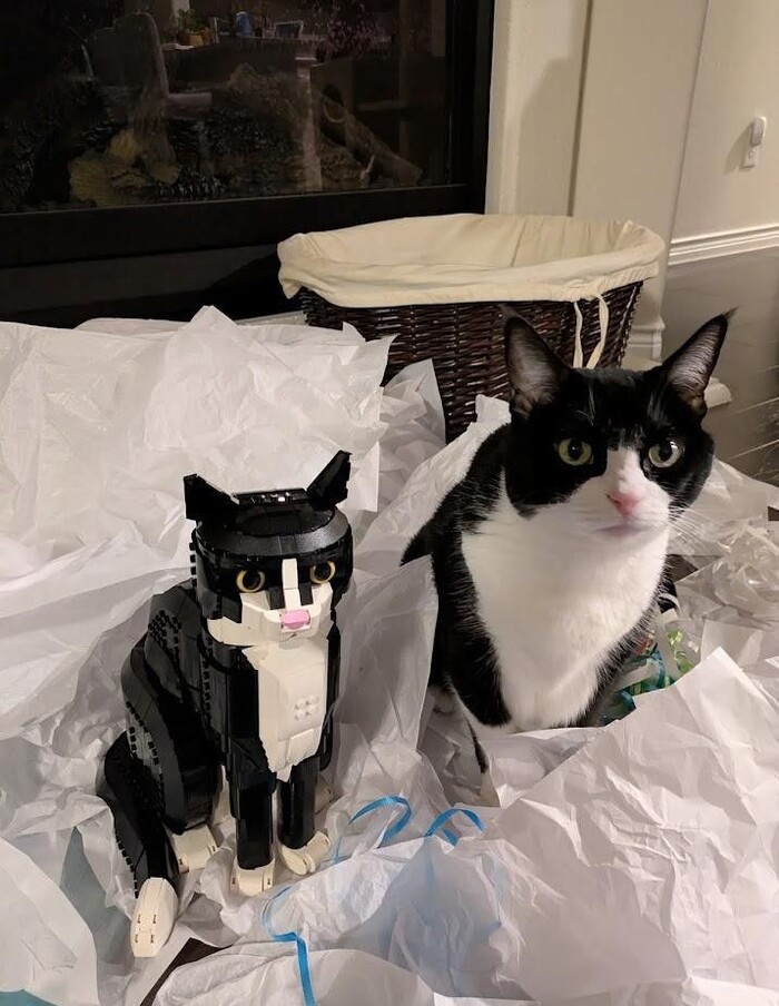    ,  ,  , , , LEGO, , , , , 