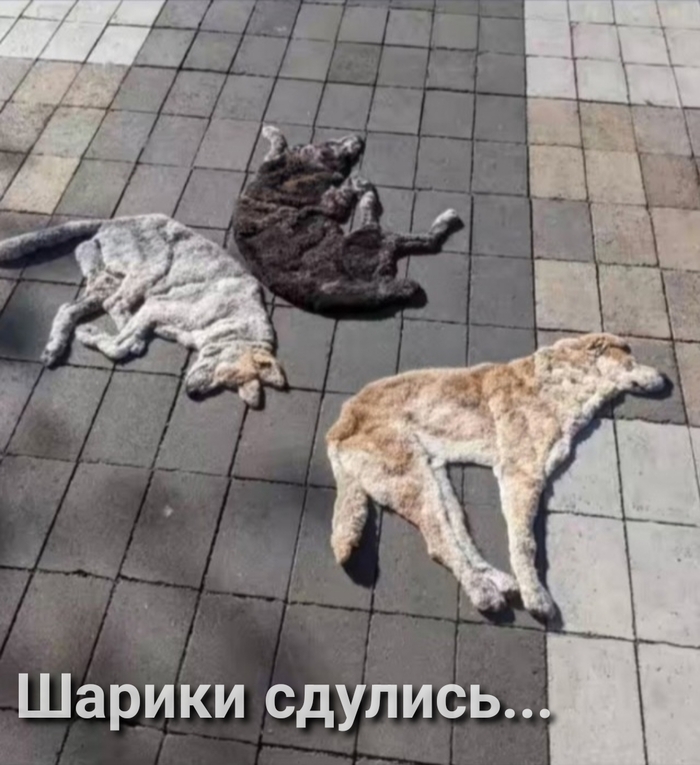     , , , , ,  ,  ,  