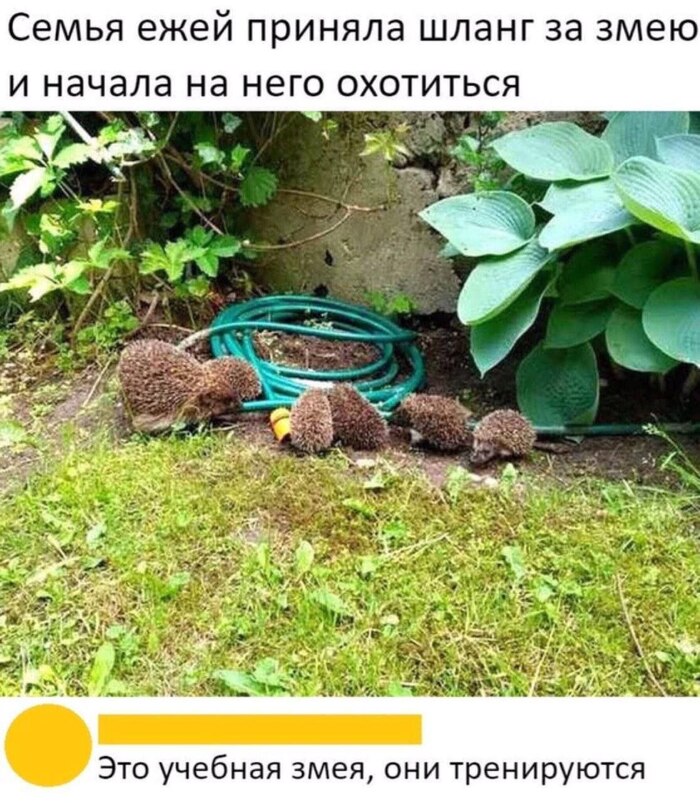  , ,   ,  