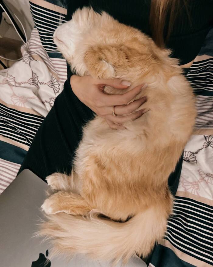 ����� 10 ����� ������, �� �������� ������