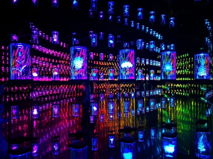 Дубайск Отпуск, Истории из жизни, Путешествия, Дубай, Шопинг, Бурдж-халифа, Поездка, Видео, Вертикальное видео, Короткие видео, Мат, Длиннопост