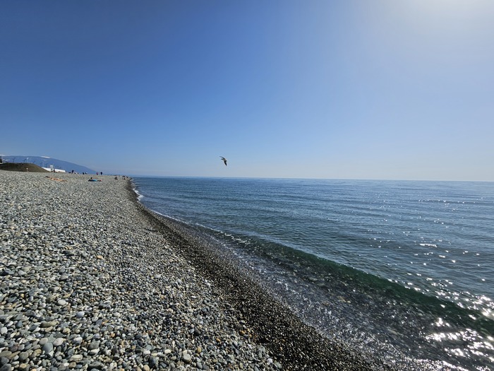 Много купающихся, человек 10 точно, хоть и вода +11