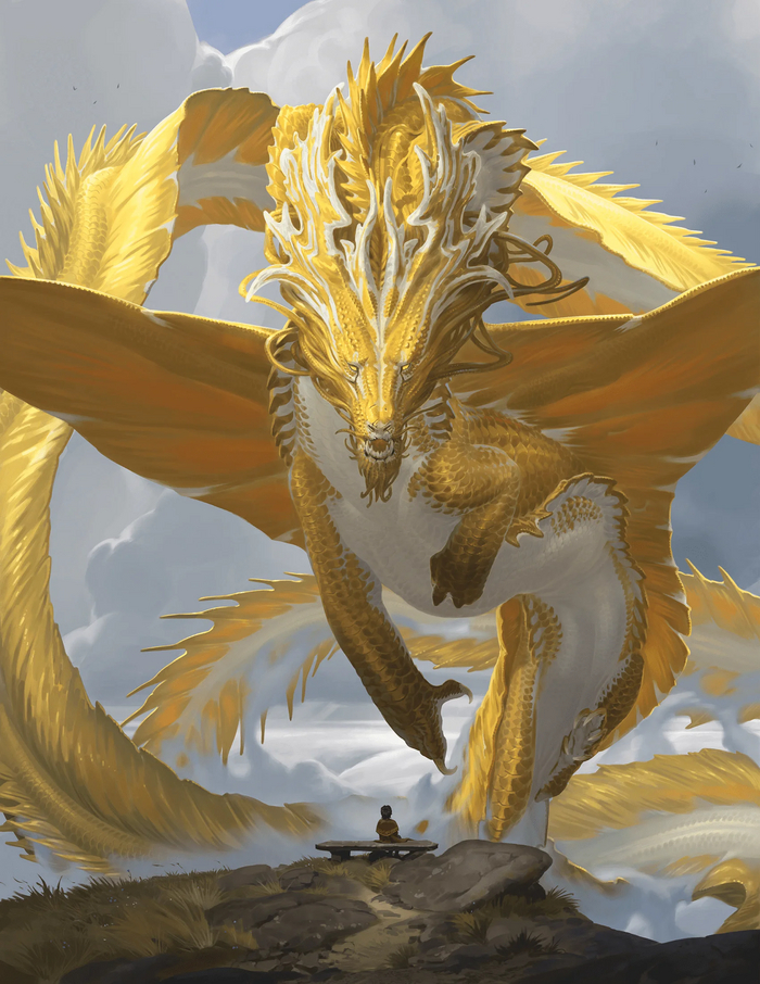 [DnD 2024, ]  2025 v0.082  , Dungeons & Dragons,   , DnD 5, , , 
