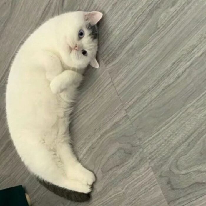 Для продуктивности