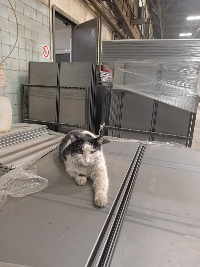 ����� ��������� ������������