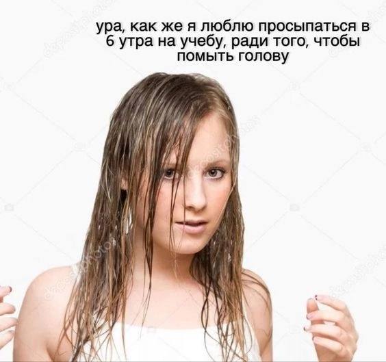  --  ,    , 