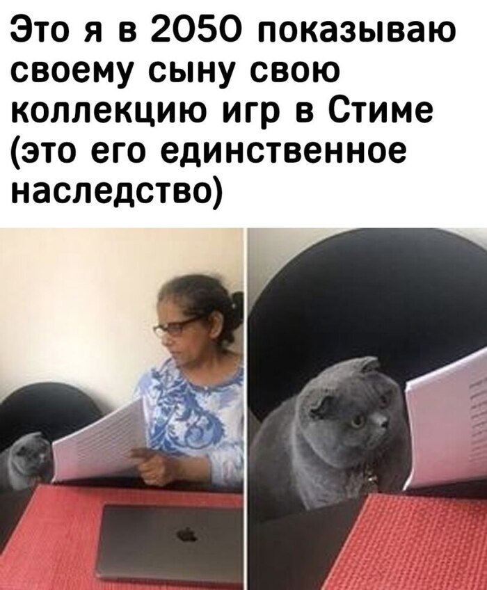    , , Steam, , 