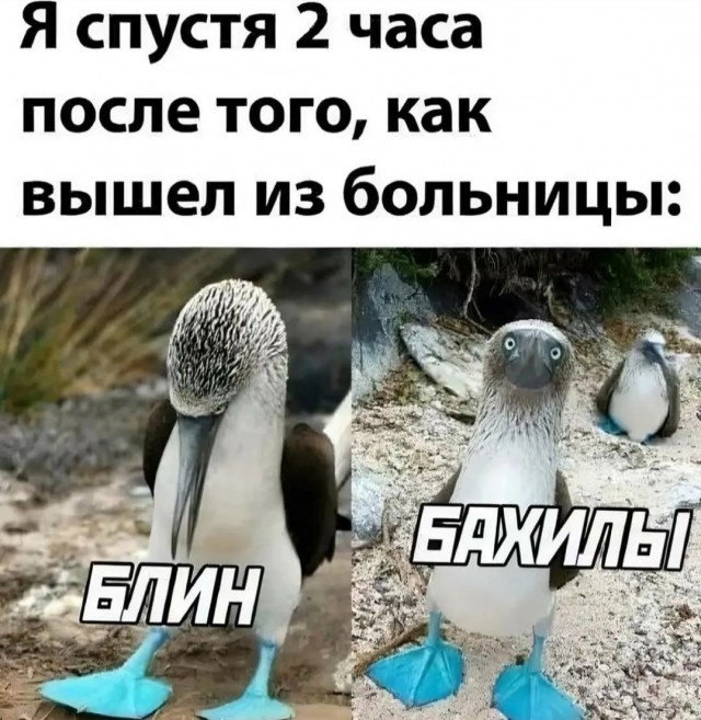     ,   , , , , 