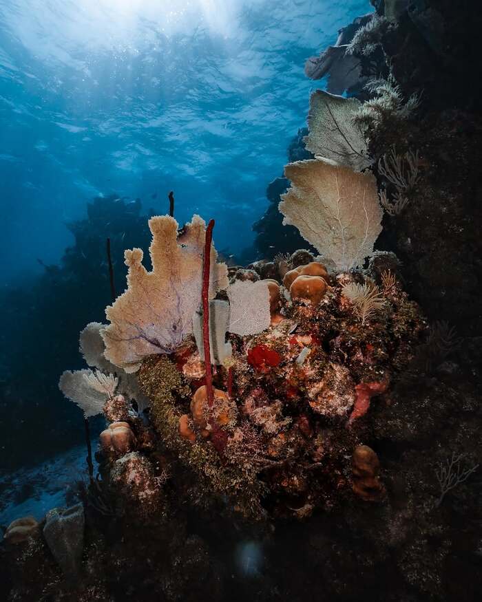   ,  , ,  ,  ,  ,  , , 