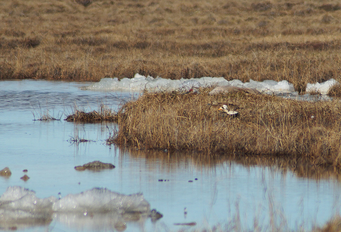  , ,       .     ,      .