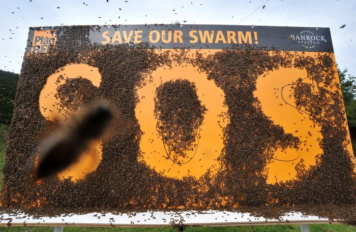     ,   . 100 000   ,  S. O. S (  ).