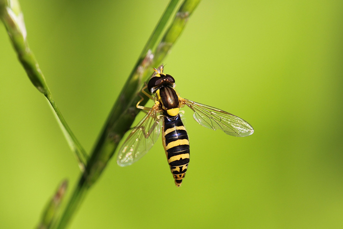    :  -     ,    .       .