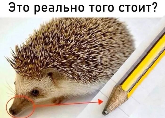  , ,   , , 