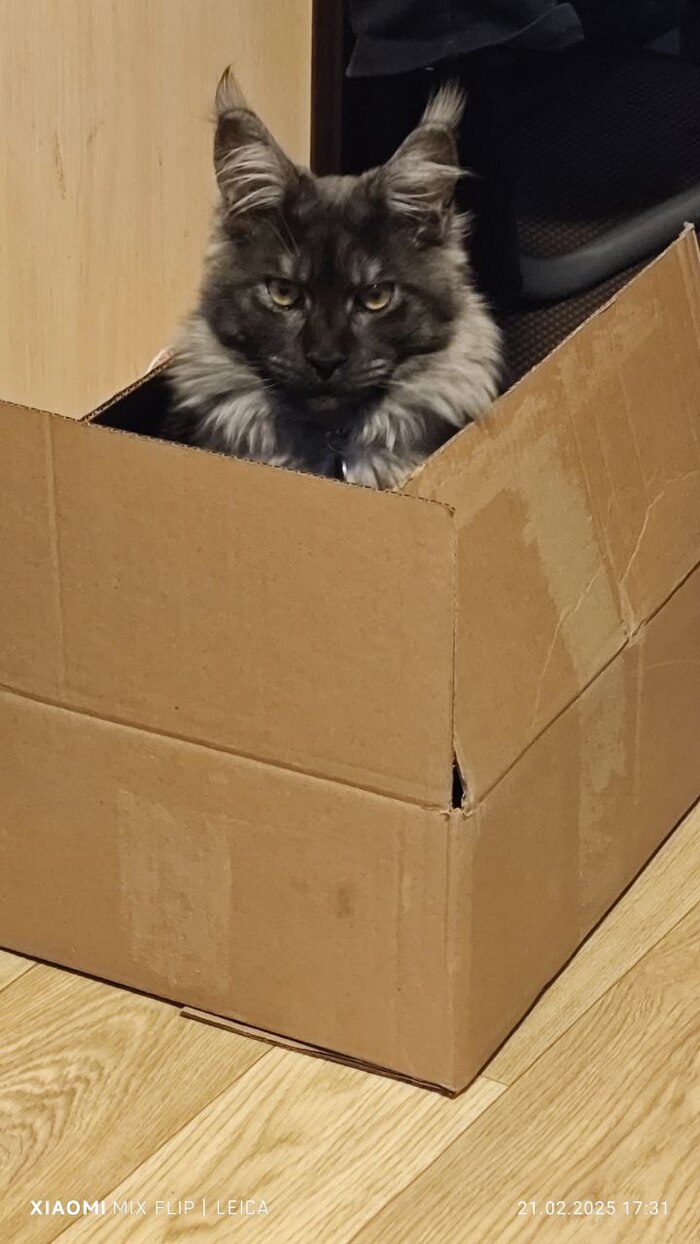 ��� ������ ��������� ��������