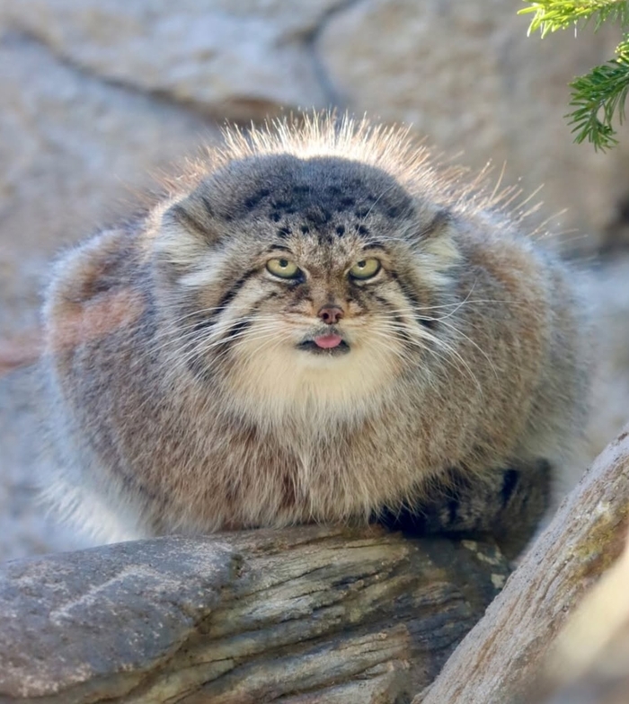 Что, на работу готовитесь? А я нет, бе)