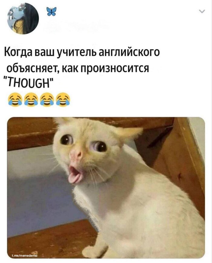 The ,   , , , ,  , , , Telegram ()