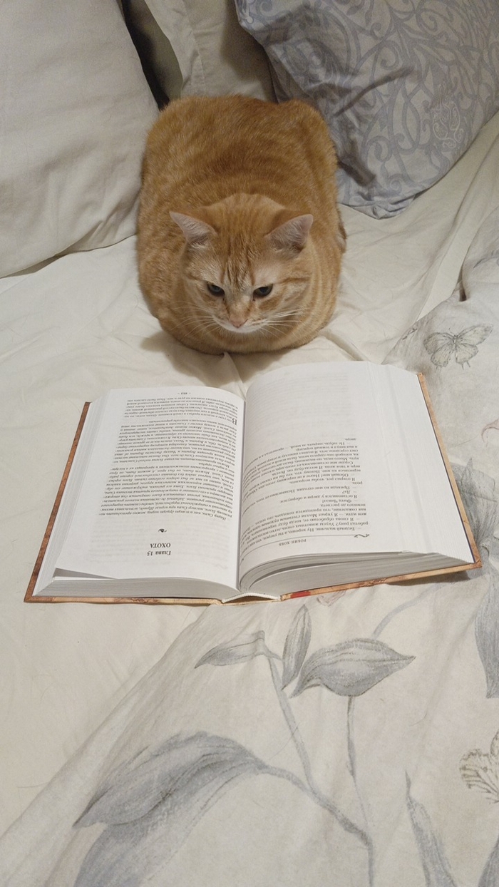   , , ,  , 