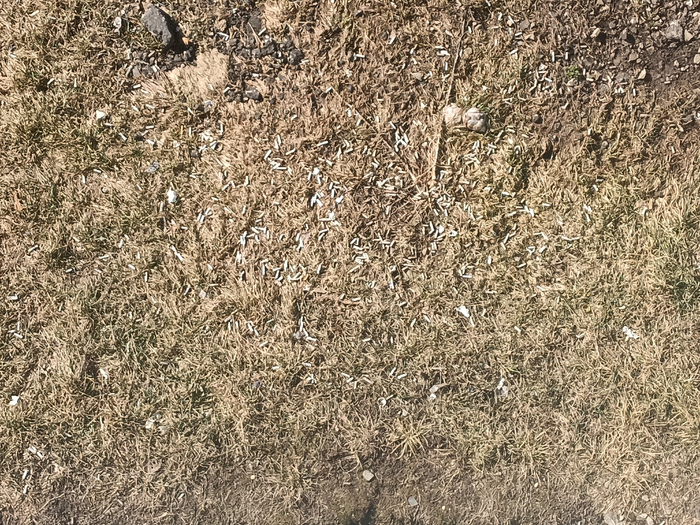 Сфотал на приближении, фотография получилась не особо четкой.