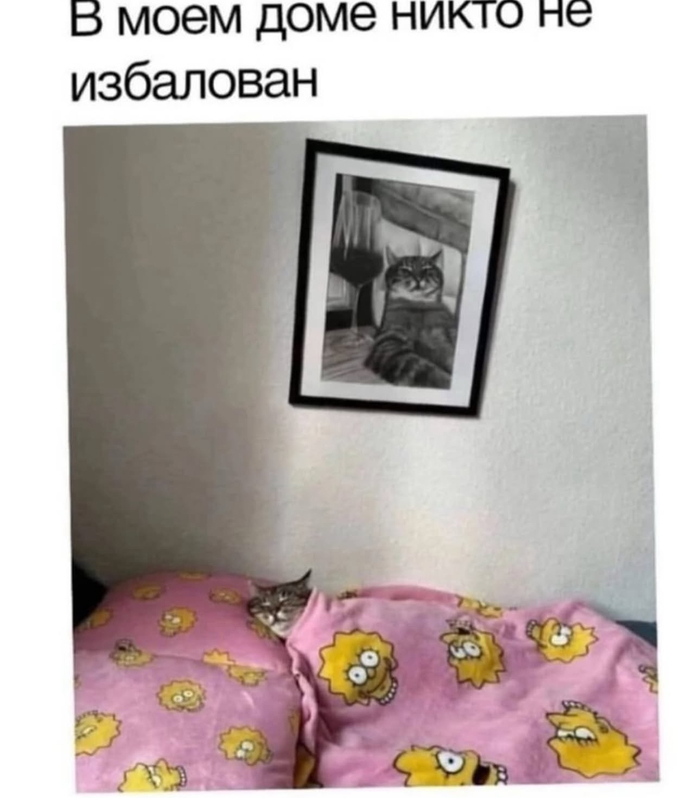   ,   ,  , , ,  , , 