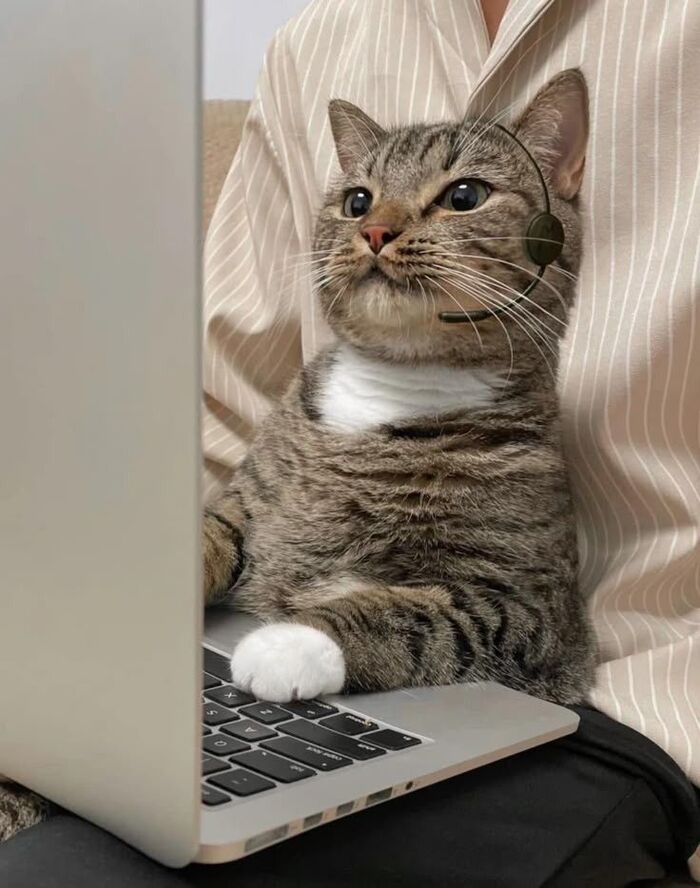 Вы пробовали нассать на кнопку Пуск?