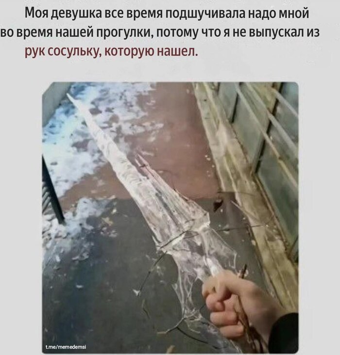   ,   , , , , , Telegram (), , 