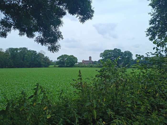 Жить рядом с церковью удобно, всегда знаешь который час дня. И ночи...