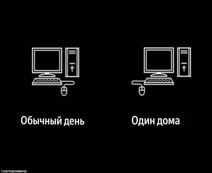  ,   , , , ,   , Telegram ()