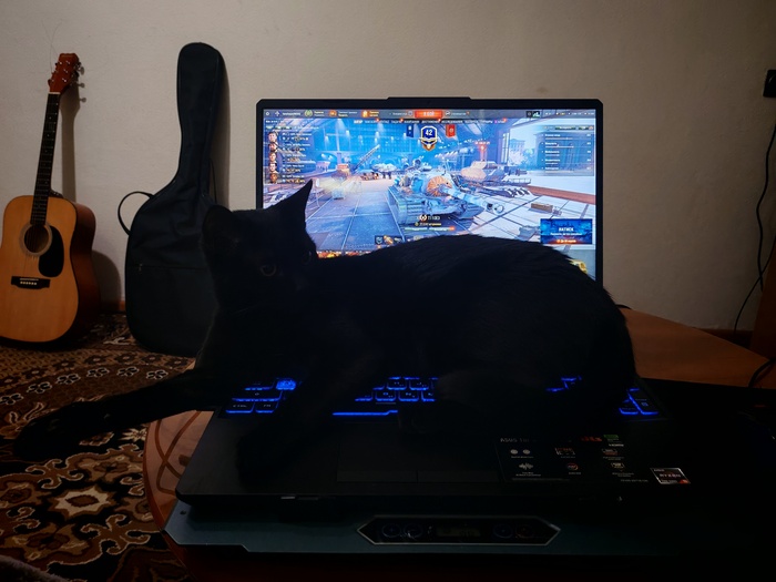   IT  , , World of Tanks, 