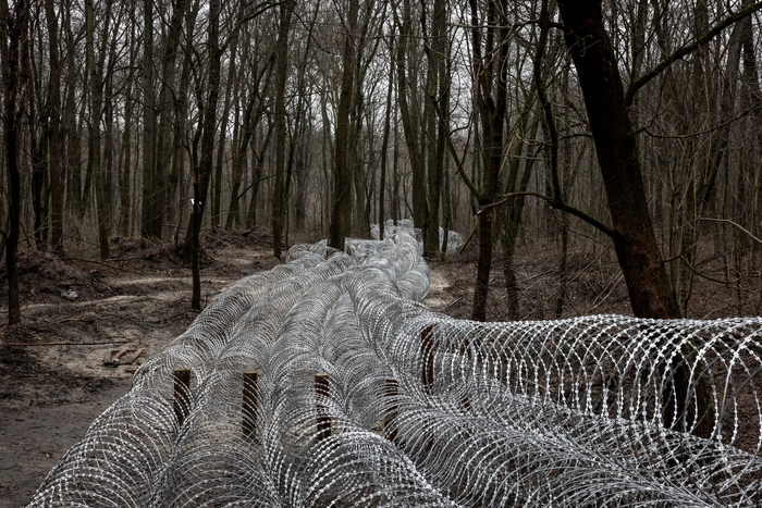 Заграждения из колючей проволоки в лесу в Сумской области Украины, вдоль границы с Россией, в начале этого года.//Финбарр О'Рейли для The New York Times