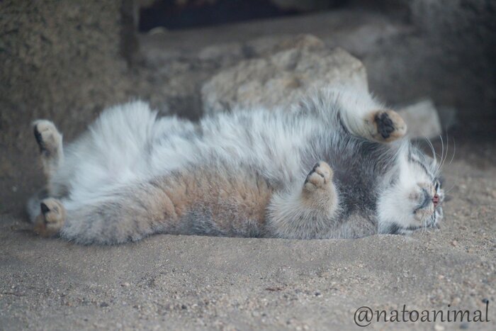 Почтивстал...