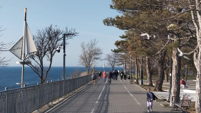 Anapa, March, +20 - My, Beach, Anapa, Spring, No filters, Sea, Black Sea, Longpost