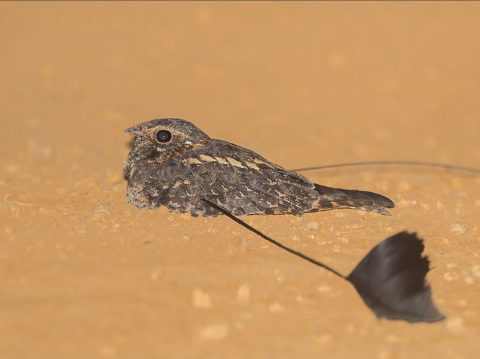 А говорят, что размер не имеет значения. Всё это брехня!