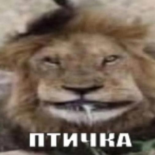    , , ,  ,   , 