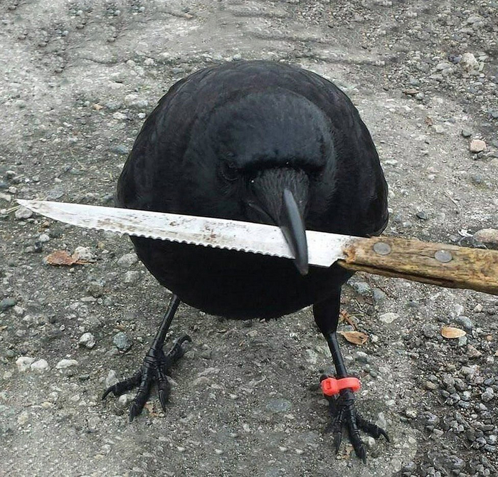 Камни — это только начало...