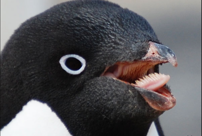 ,        . , ,    ,  ,   .