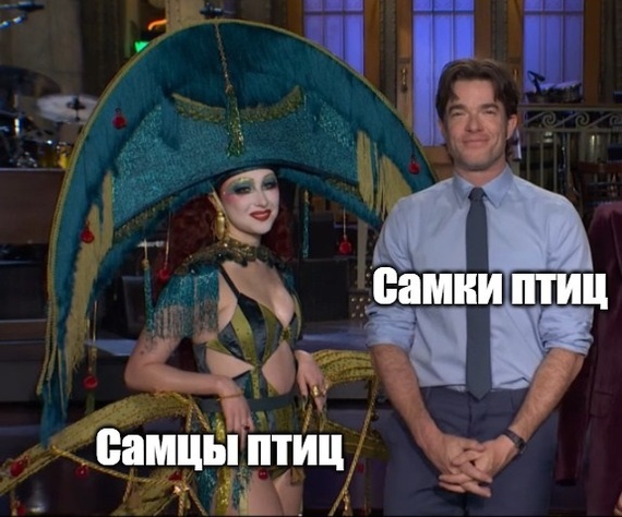 � �������� ��� ��������