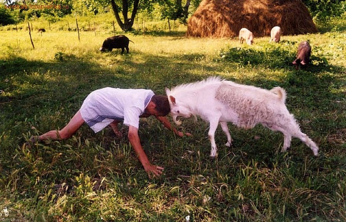 Он с температурой 37 доказывает врачу скорой, что ему нужна госпитализация.