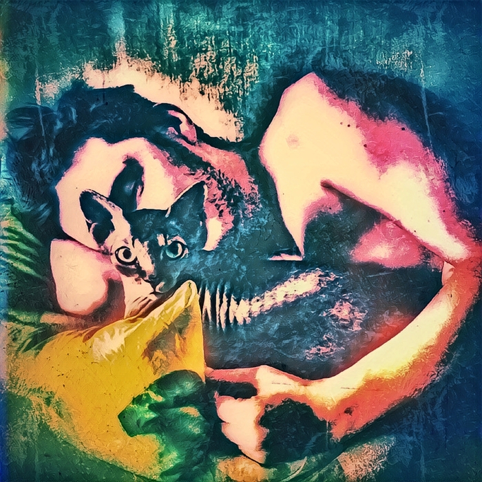    ) , ,  , ,  