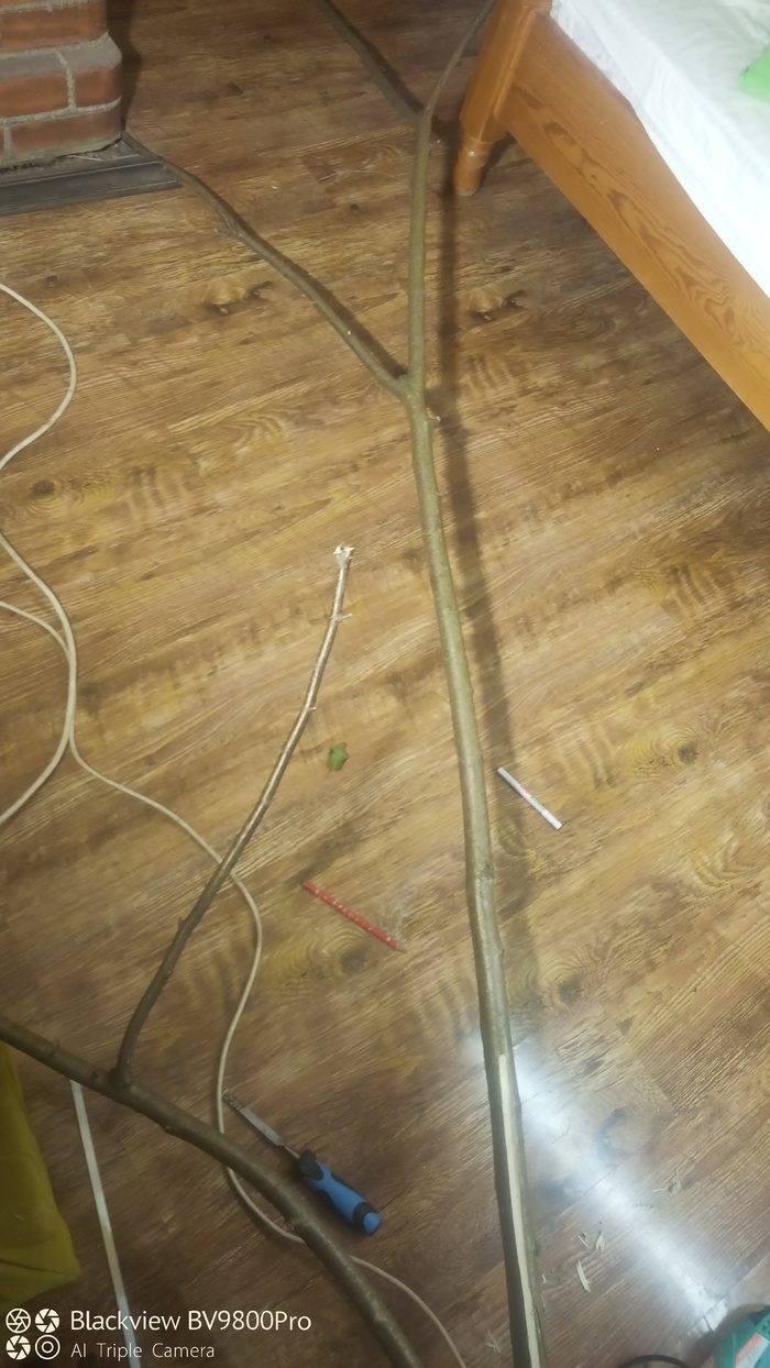  -  , , , , , , ,   , 