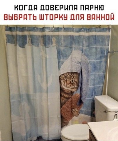 :  ". ()"  7703380158