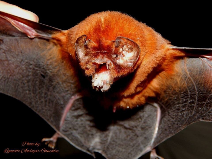 Да не страшная я! Просто ракурс на всех фотках неудачный!