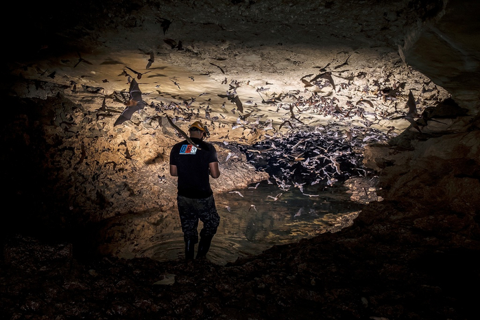 Мужик, после 2019 лучше бы ты не ходил туда.