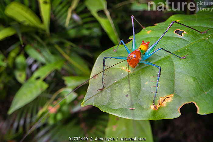 Такому попробуй пояснить за шмот. Сам тебе за всё на свете пояснит!