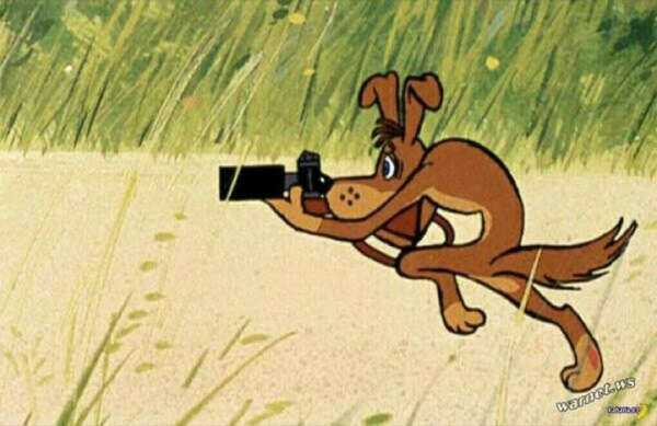 "Я полдня за ней бегал, чтобы сфотографировать! ..."