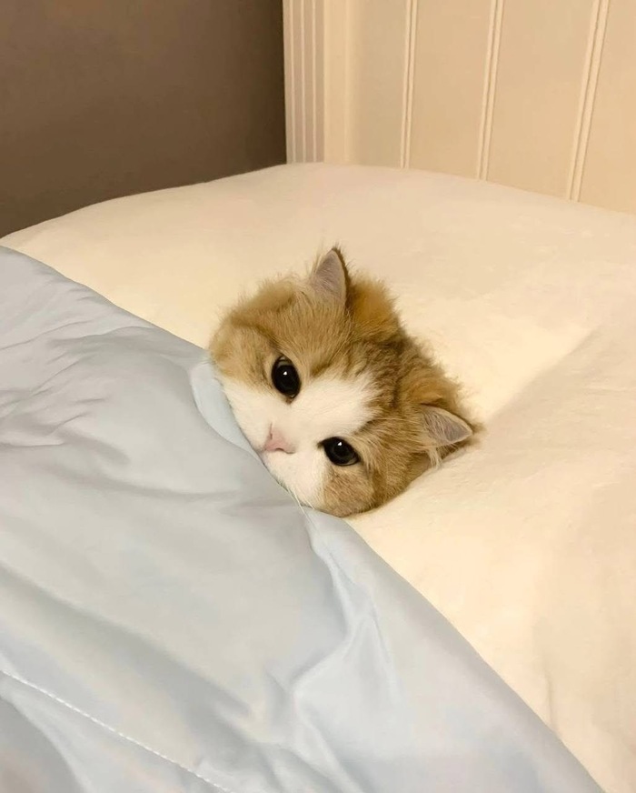   , , 